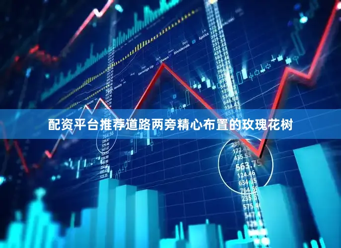配资平台推荐道路两旁精心布置的玫瑰花树